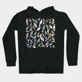 Collection of South Australian Birds Hoodie